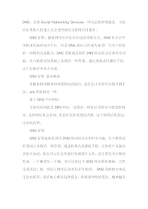 SNS营销与盈利模式分析资料