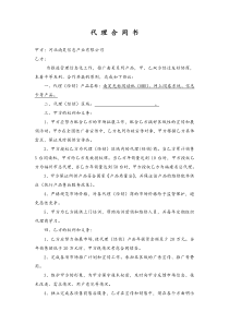 河北南昊信息产业有限公司代理合同