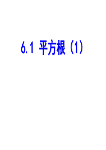 6.1平方根1.1-平方根-(1)