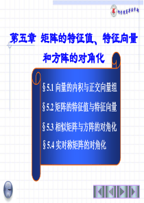 11第十一次课-向量的内积与正交向量组