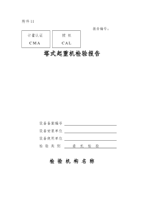 塔式起重机检验报告