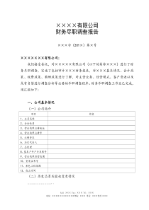 格式1：财务尽职调查报告(1)