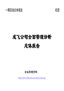 成飞公司全面管理诊断总体报告(全)