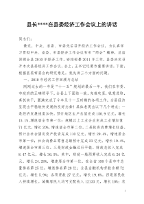 某县长在县委经济工作会议上的讲话