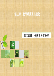 2013-2014学年高一化学配套课件(人教版 必修1)：第2章 第1节 第2课时  分散系及其分类