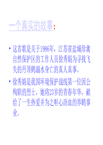 保护环境教学课件