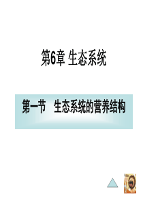 61生态系统的营养结构.