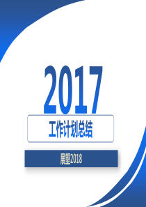 2017项目工作总结及展望2018