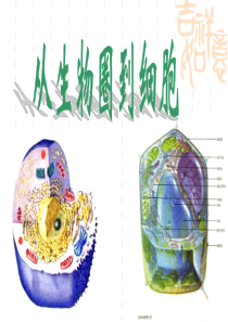 1.1从生物圈到细胞课件