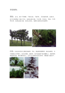 北方常用园林植物汇总