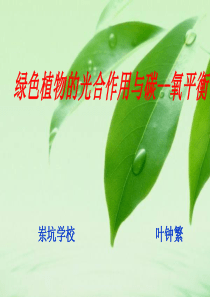 绿色植物的光合作用专题复习