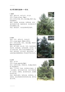 (整理)北方园林绿化常用植物-乔木