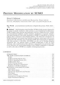 蛋白质SUMO化修饰