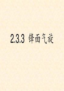 2.3.3  锋面气旋解析