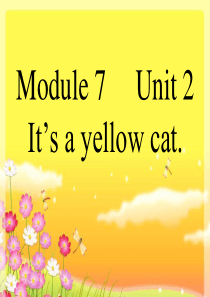 It’s a yellow cat课件