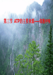 高一生物 ATP的主要来源――细胞呼吸ppt