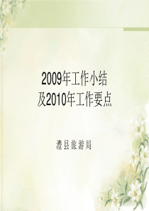 2009年工作小结及2010年工作思路