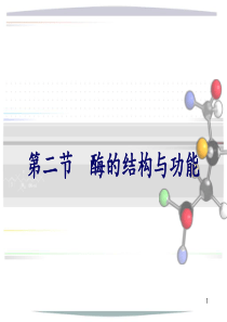 酶的分子结构与功能