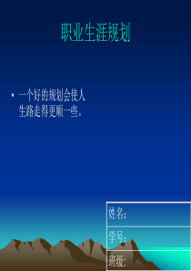 职业生涯规划 Microsoft PowerPoint 演示文稿