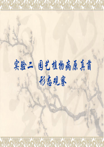 (2010-9)实验二、园艺植物病原真菌形态观察