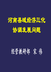 河南县域经济三化协调发展问题(2010秋)