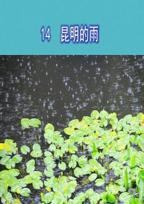 14课《昆明的雨》