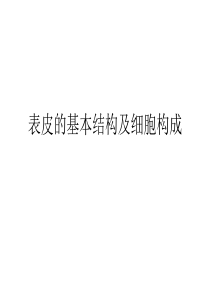 表皮的基本结构及细胞构成