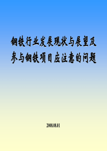 14.中国钢铁行业发展现状及展望及参与钢铁项目应注意的问题