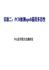 2015年研究生实验2 PCR检测apoB基因多态性