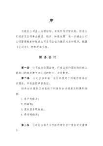 公司财务会计制度(最新)