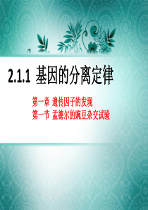 2.1.1  基因的分离定律(第一轮复习)