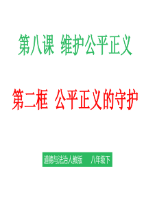 8.2公平正义的守护优质公开课(课件+内含练习)