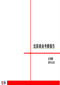 沈阳商业考察报告  第一太平戴维斯