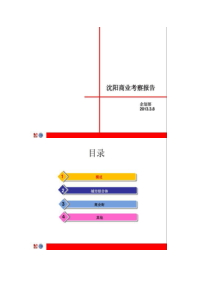 沈阳商业考察报告第一太平戴维斯(精)