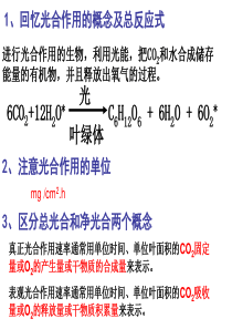 生态系统的生产量和生物量(20150526)