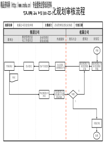 权属公司信息化规划审核流程