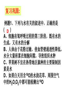 高三一轮复习 细胞中的有机物