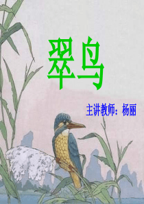 语文三《翠鸟》ppt课件