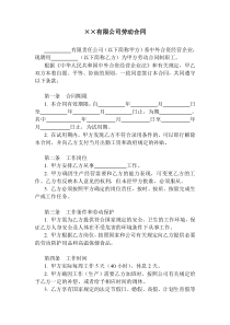 有限公司劳动合同