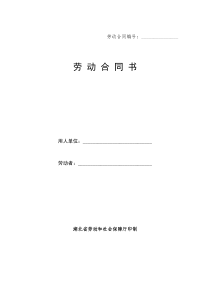 武汉新劳动合同示范文本（DOC 9页）(1)