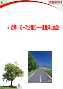 北师大版 5.5应用二元一次方程组――里程碑上的数