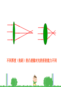 眼睛和眼镜ppt+flash课件-7