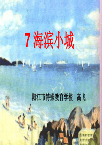 7_海滨小城资料