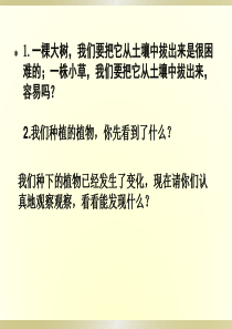 教科版科学三年级下册我们先看到了根