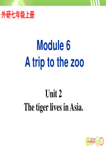 外研版七上Module 6 A trip to the zoo  Unit 2 The tiger 