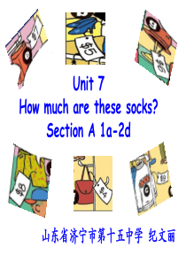 Unit 7 How much are these socks Section A 1a-2d教学课