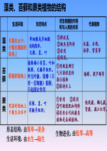 2016年新人教版七年级生物上册 第三单元 第一章 第二节 种子植物 课件