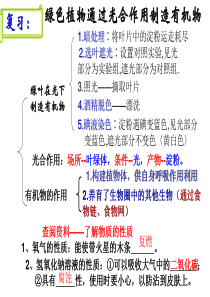 2016年新人教版七年级生物上册 第三单元 第五章 第一节 光合作用吸收二氧化碳释放氧气 课