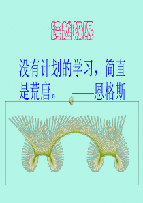 心理健康教育课件《高三学生心理辅导之跨越高原期》