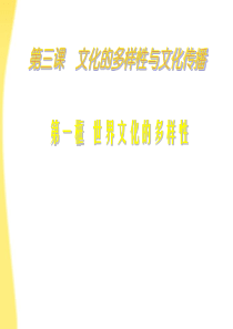 高中政治 3.1世界文化的多样性2课时课件 新人教版必修3